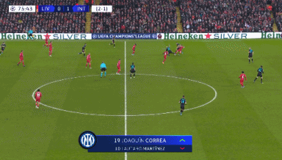 致敬，都柏林动物园将一只极度濒危的鹦鹉取名特洛伊-帕罗特